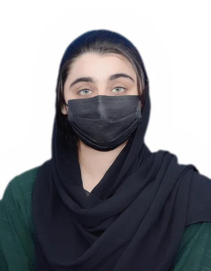 Lecturer - Deena Anees 